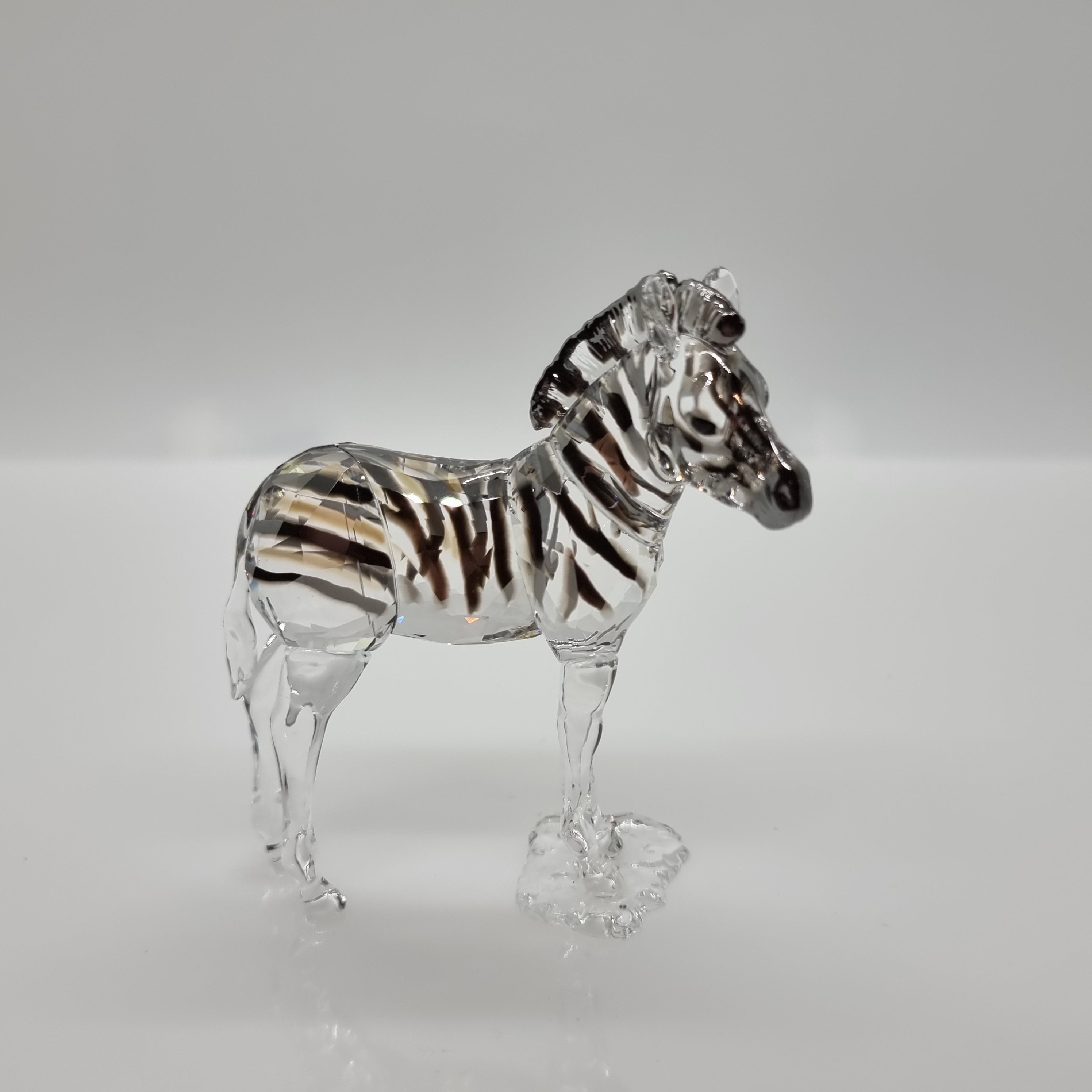 SWAROVSKI SCS Zebra Baby Zuri zur Jahresfigur 2021 Amai 5557906