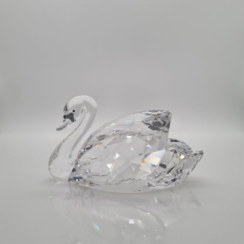 SWAROVSKI Anmutiger Schwan Groß 5400172 oU