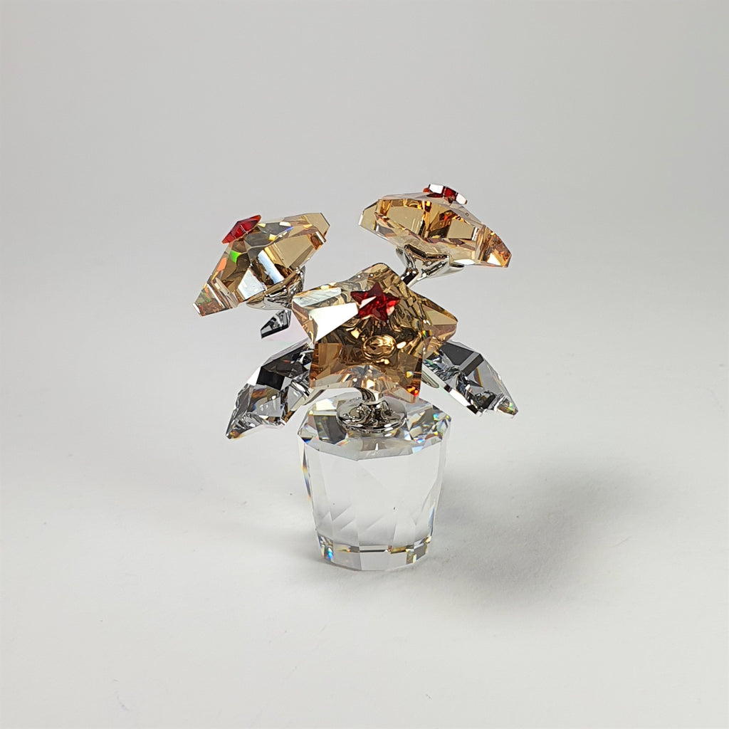 SWAROVSKI Sternblüten Christstern Blumentopf 1006036