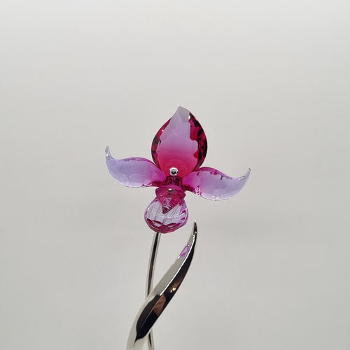 SWAROVSKI Blumenträume Dorora Blume 681542