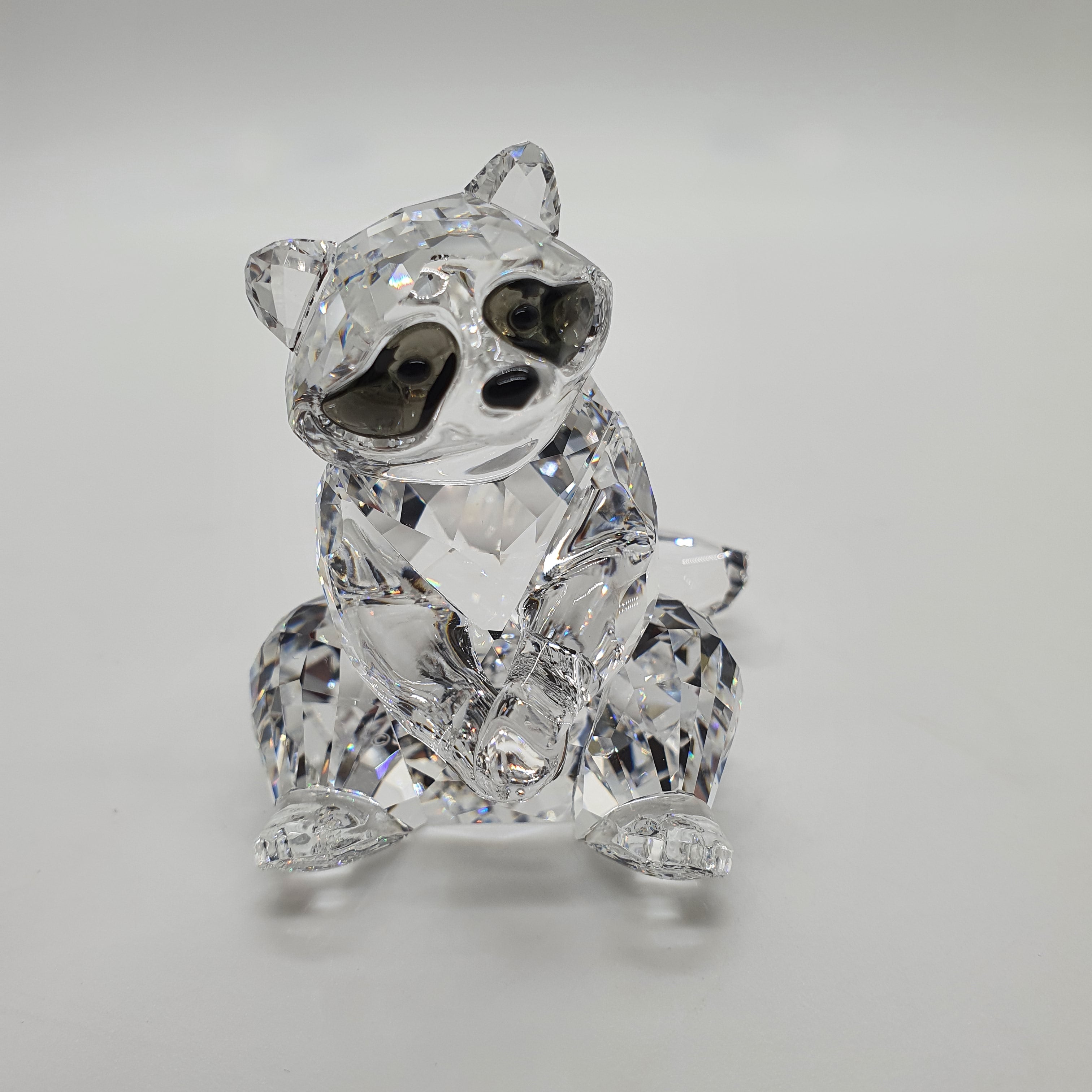 SWAROVSKI Waschbär 5301563