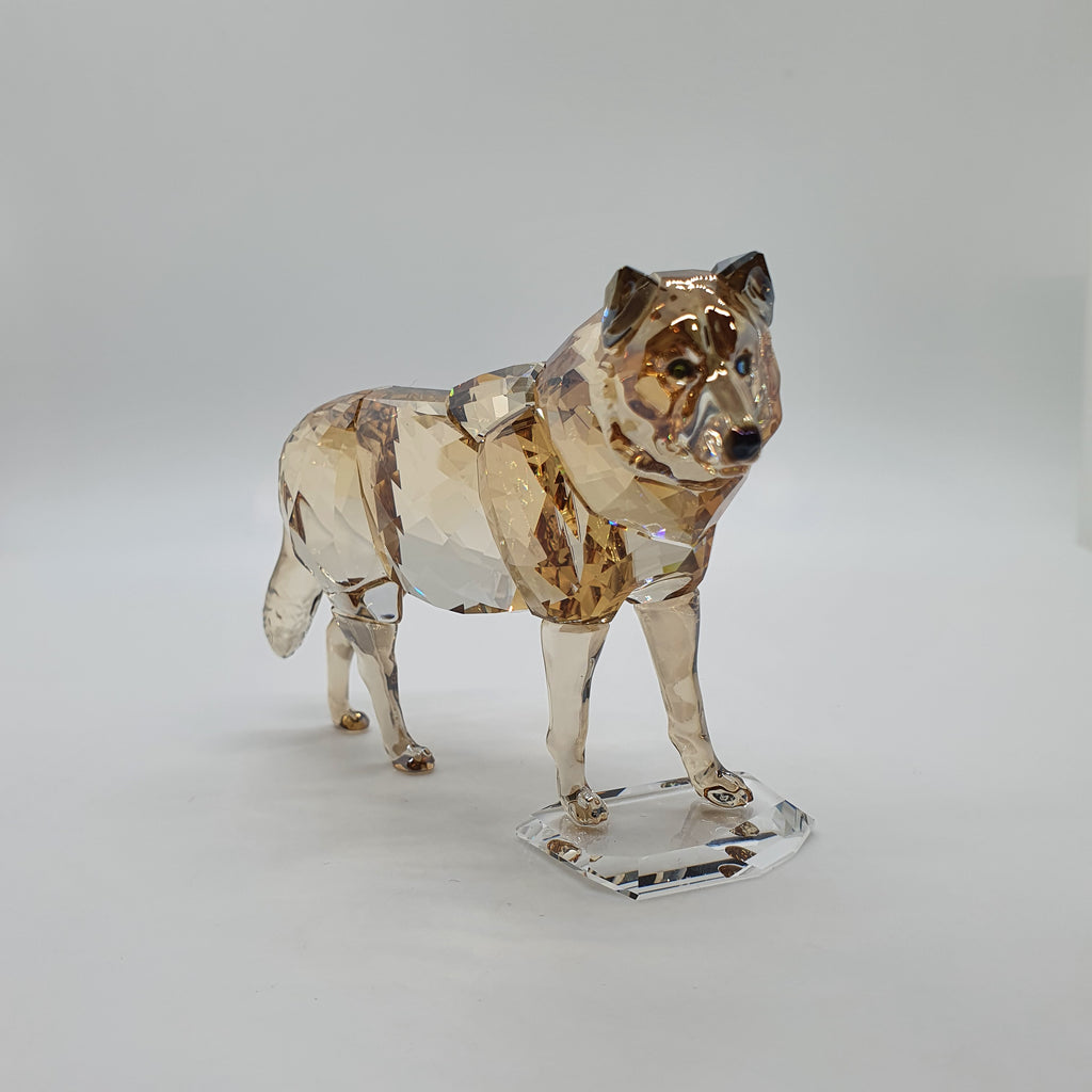 SWAROVSKI SCS Jahresfigur 2019 Grauer Wolf 5428544