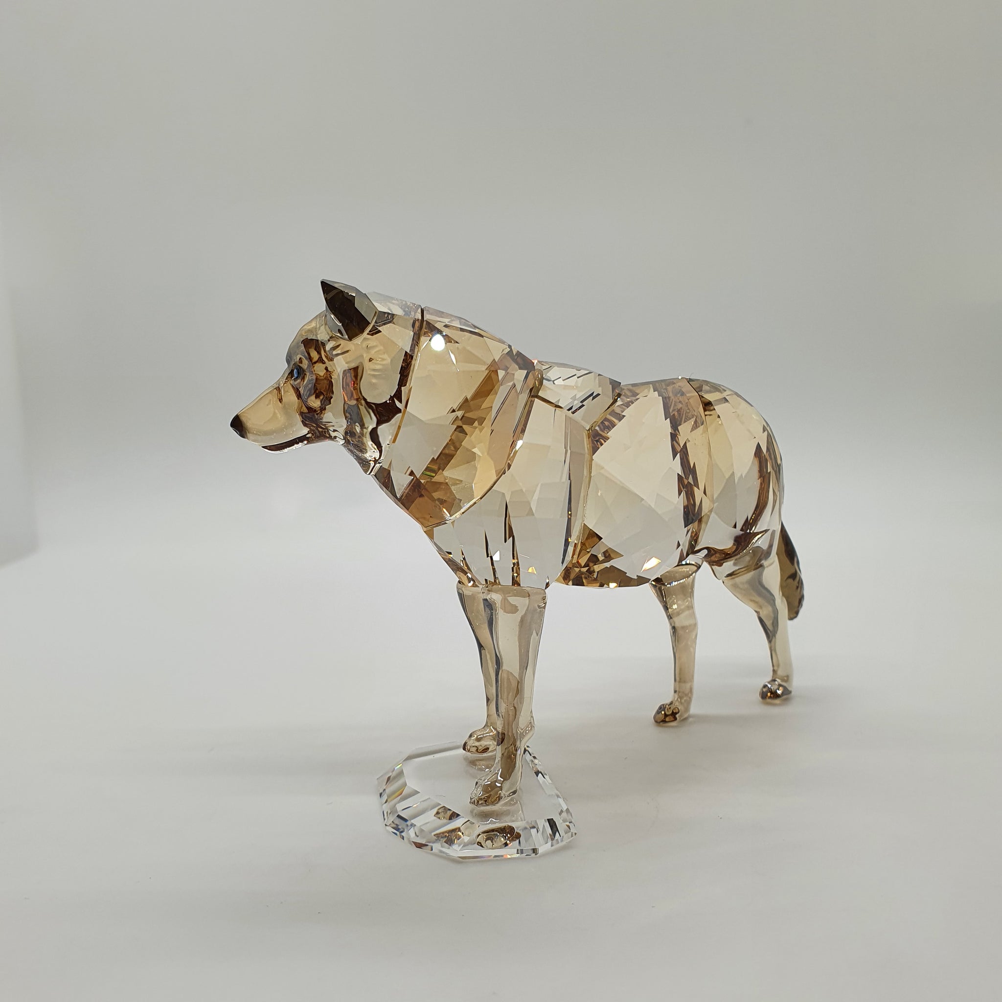 SWAROVSKI SCS Jahresfigur 2019 Grauer Wolf 5428544 – Franks