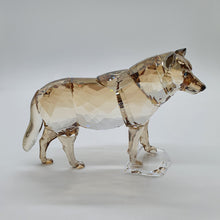 Lade das Bild in den Galerie-Viewer, SWAROVSKI SCS Jahresfigur 2019 Grauer Wolf 5428544
