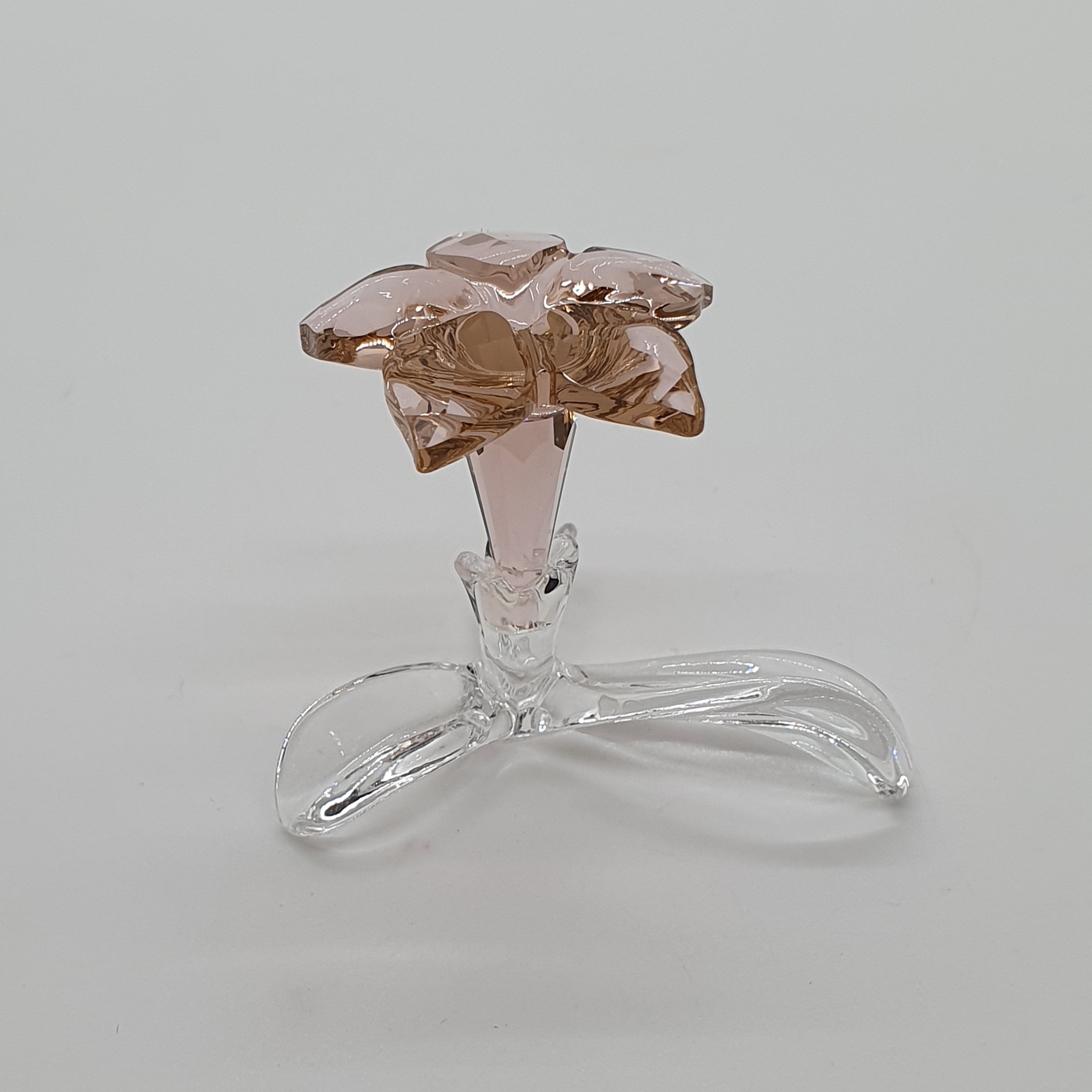SWAROVSKI SCS Sonderausgabe - Die stehende Wüstenrose 5557915