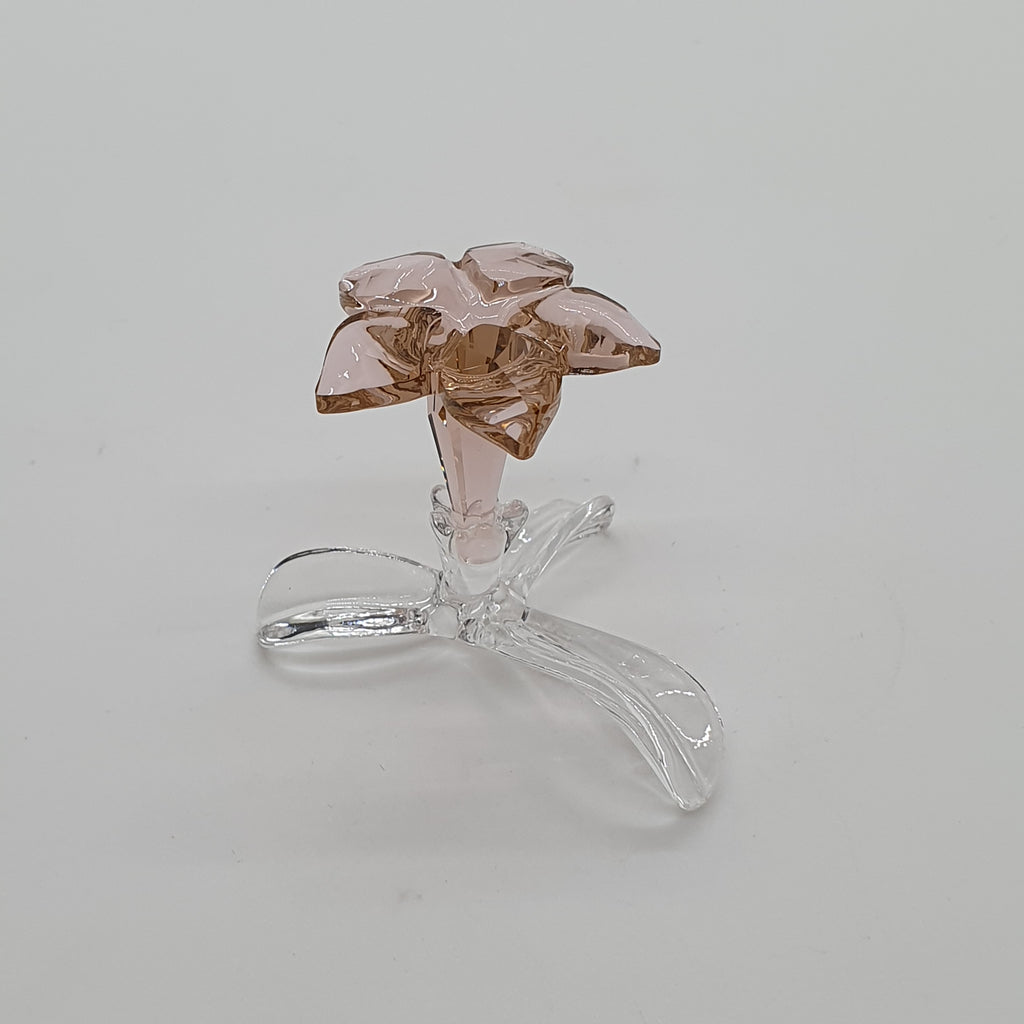 SWAROVSKI SCS Sonderausgabe - Die stehende Wüstenrose 5557915