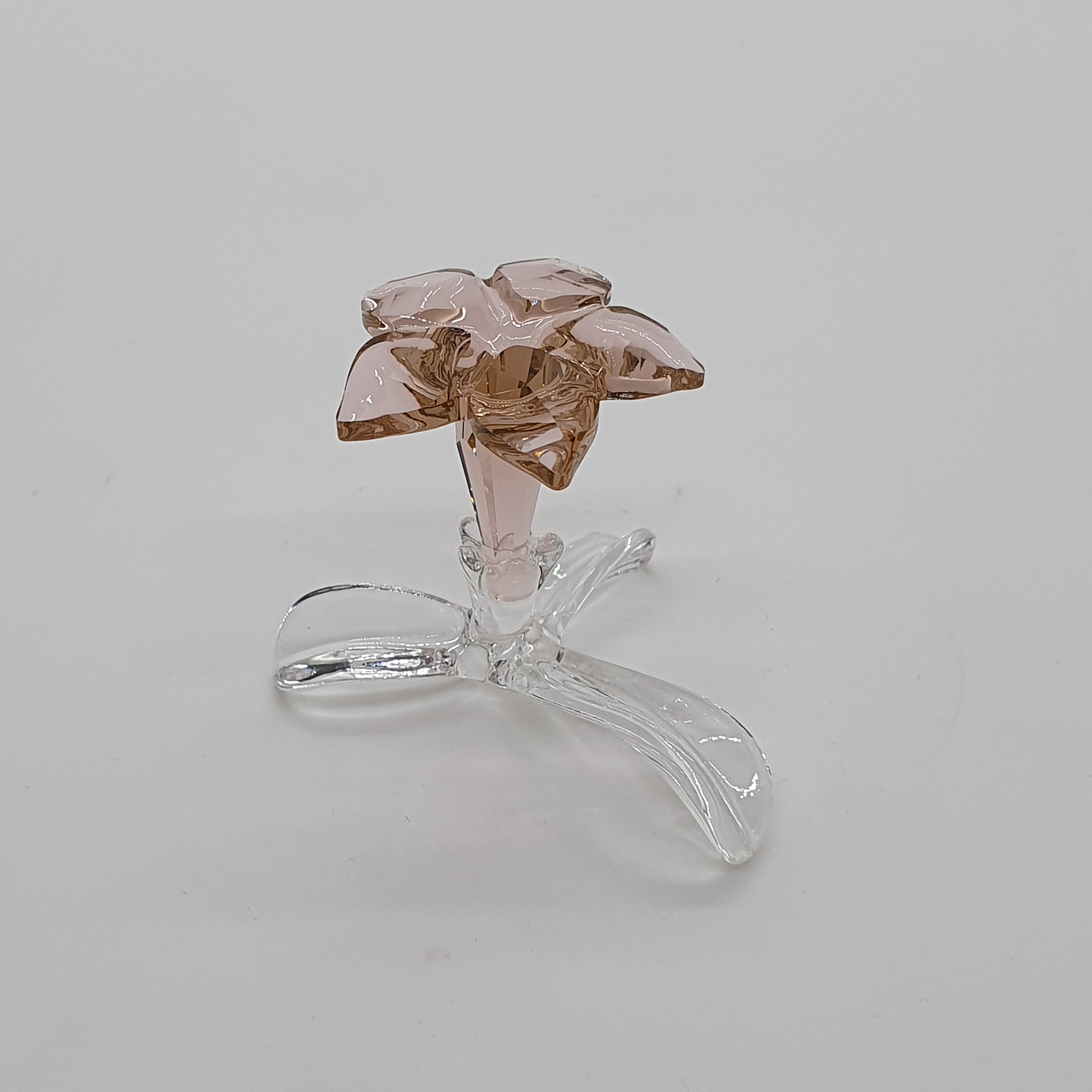 SWAROVSKI SCS Sonderausgabe - Die stehende Wüstenrose 5557915
